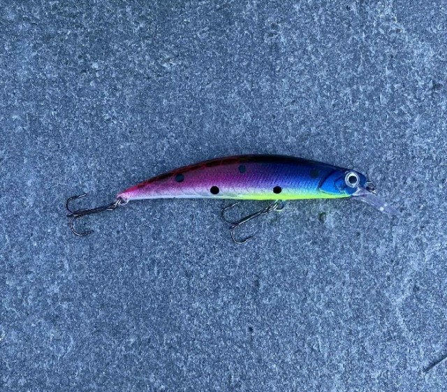 Spinn Craft Snitch 8cm/15g #1