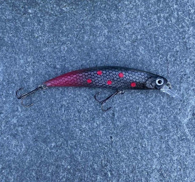 Spinn Craft Snitch 8cm/15g #2