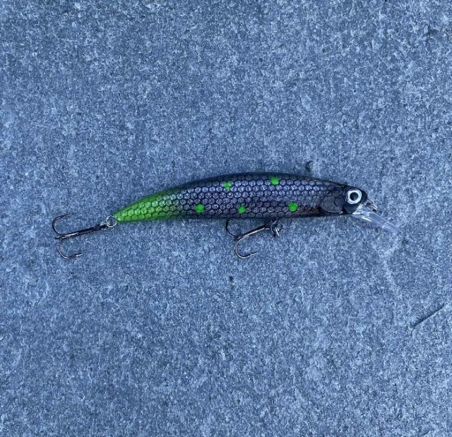 Spinn Craft Snitch 8cm/15g #3