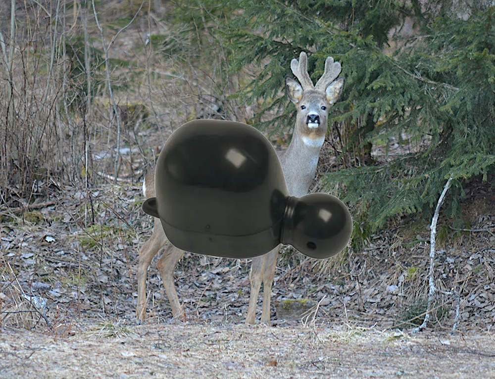 Buttolo rådyrlokk, Hubertus buttolo.